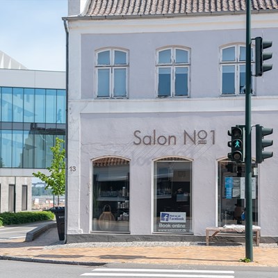 Salon No. 1